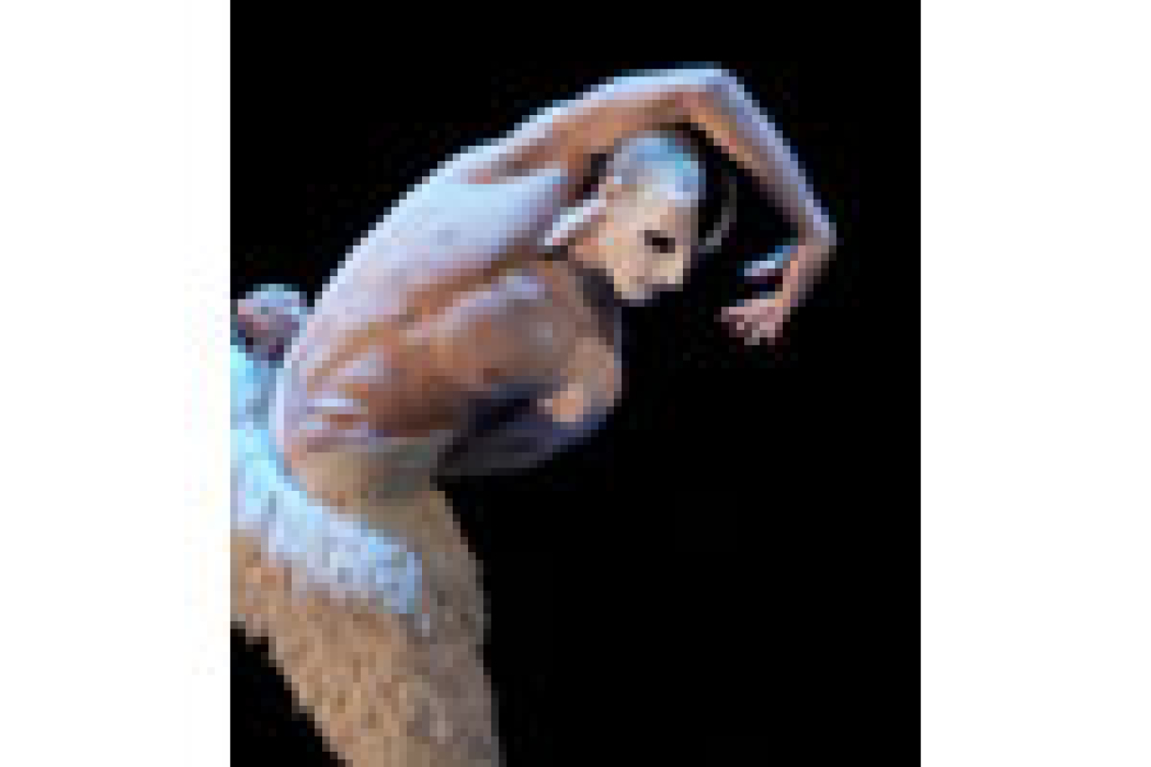 ballet v60 dominic walsh dance theater logo 5870