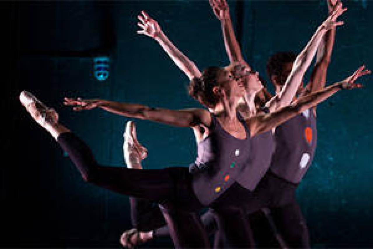 balletcollective logo 49900