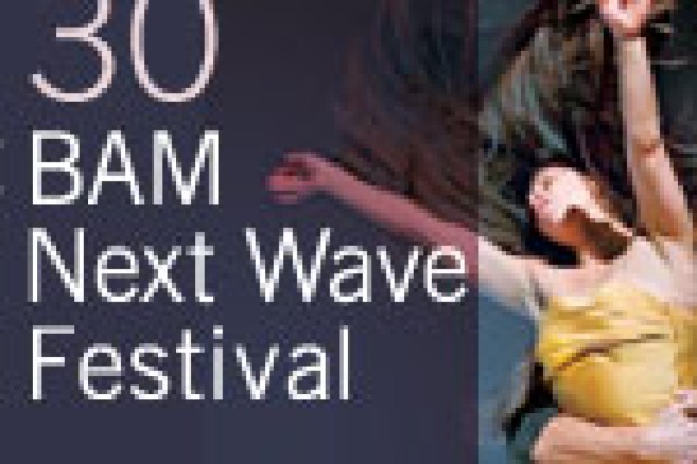 bam 30th next wave festival logo 7671