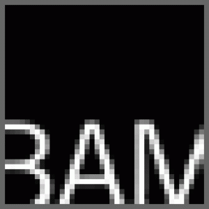 BAM Next Wave Festival 2001