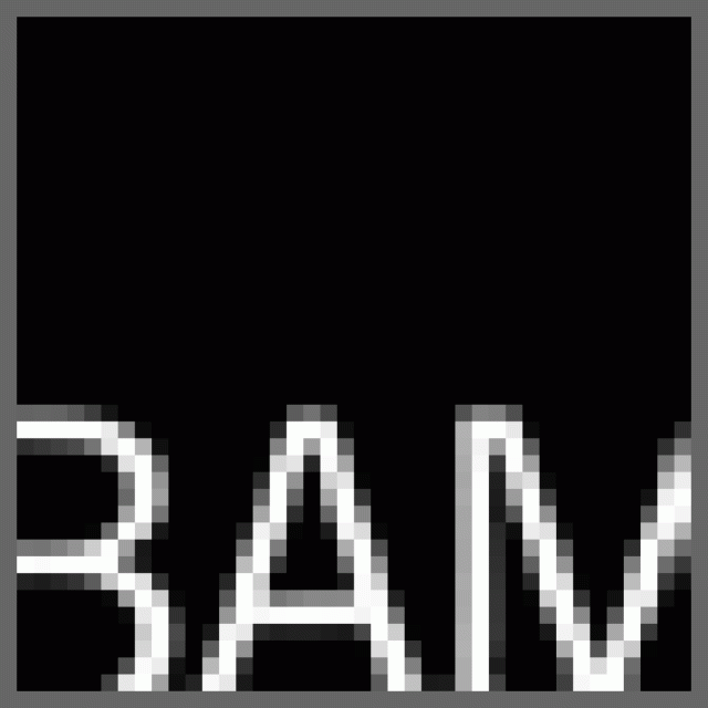 bam next wave festival 2001 logo 1603 1