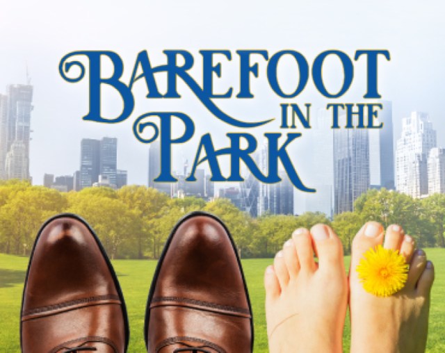 barefoot in the park logo 91283