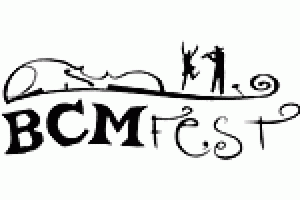 BCMFest (The Boston Celtic Music Fest)