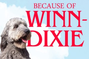 Because of Winn-Dixie