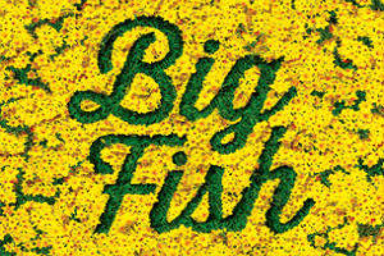 big fish logo 5326
