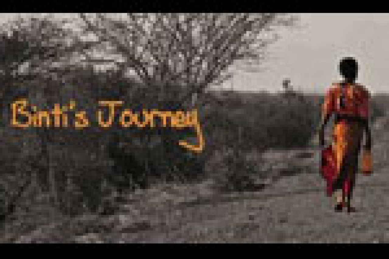 bintis journey logo 23868