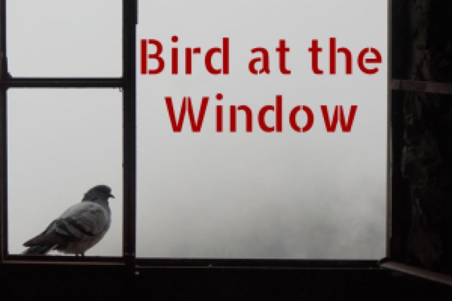 bird at the window logo 87748