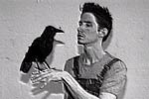 Birdland