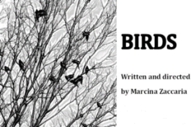birds logo 42896
