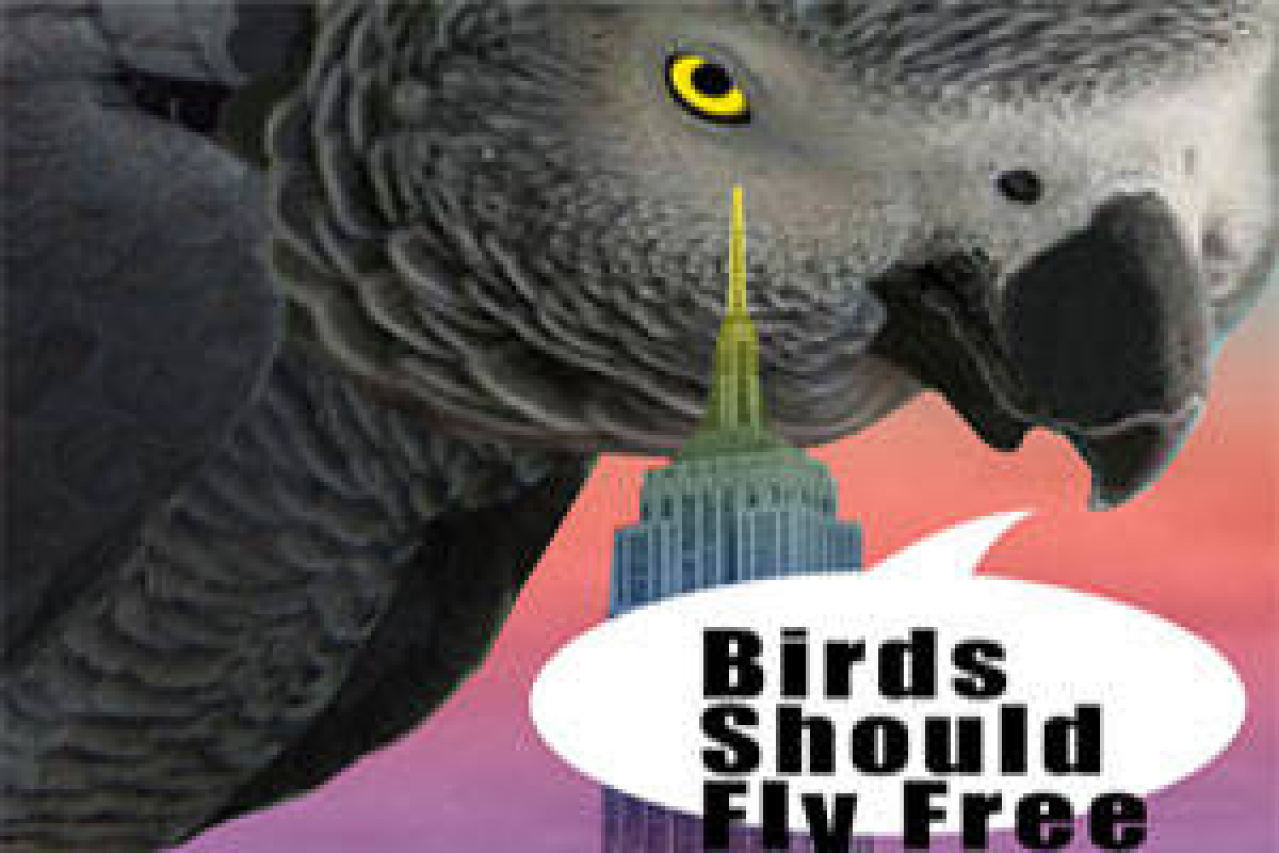 birds should fly free logo 40888