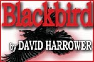 Blackbird