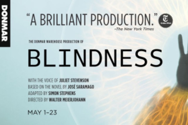 blindness logo 93205