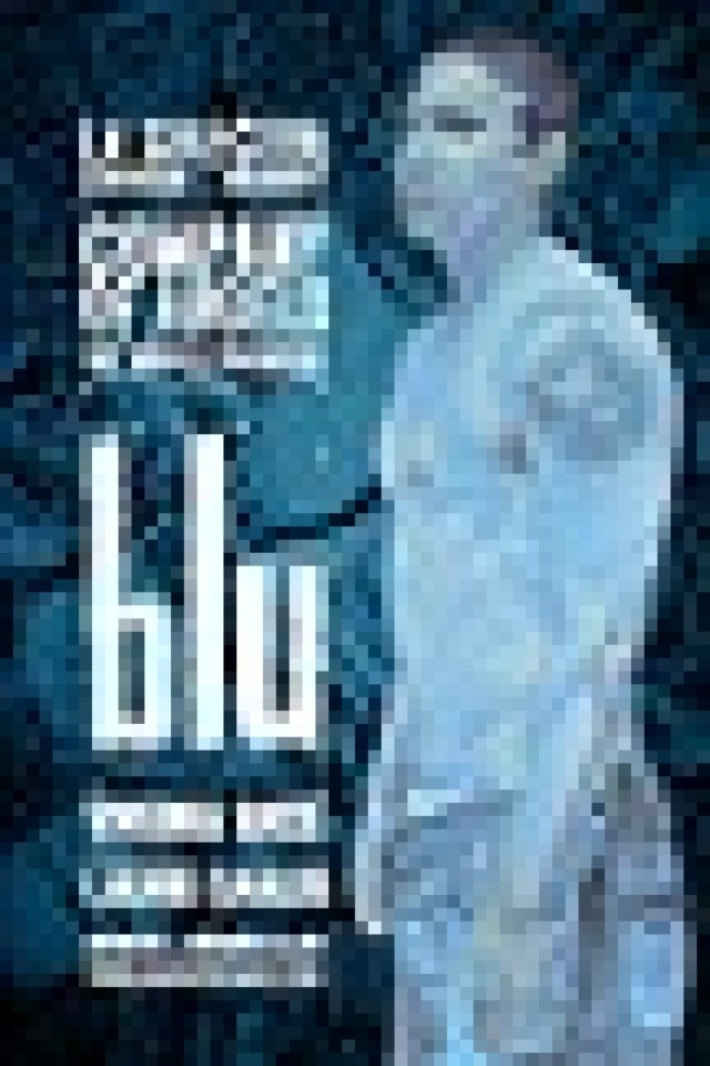 blu logo 14435