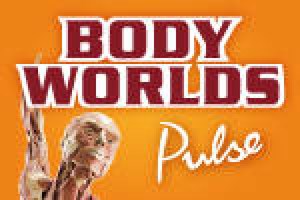 Body Worlds: Pulse