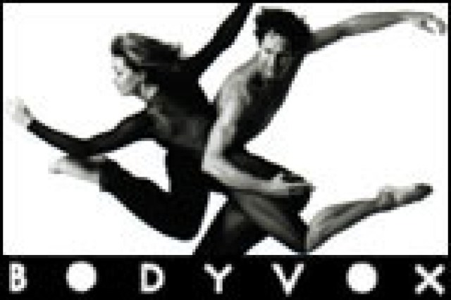 bodyvox logo 28983