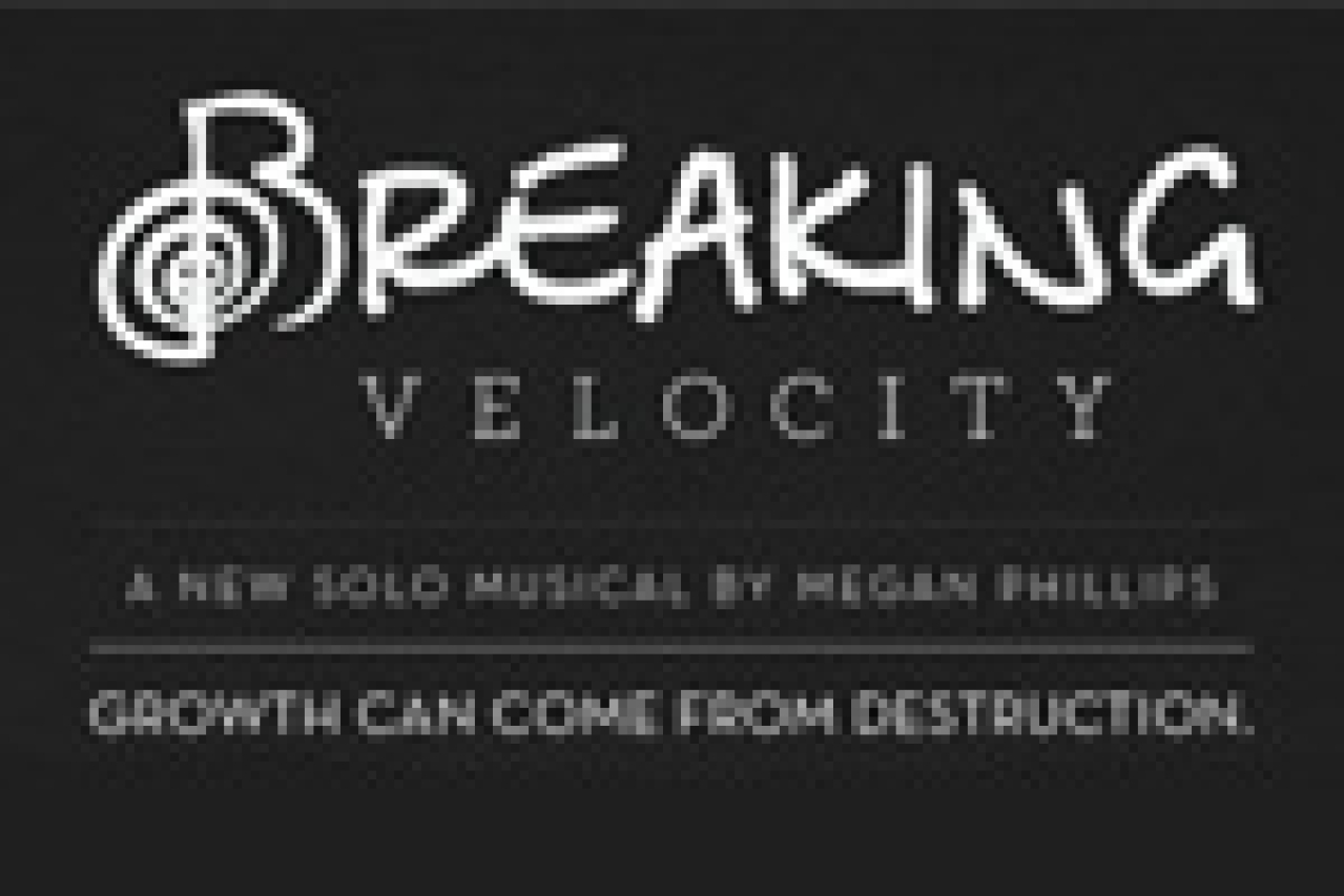breaking velocity logo 31382