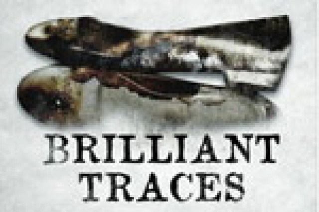 brilliant traces logo 13068