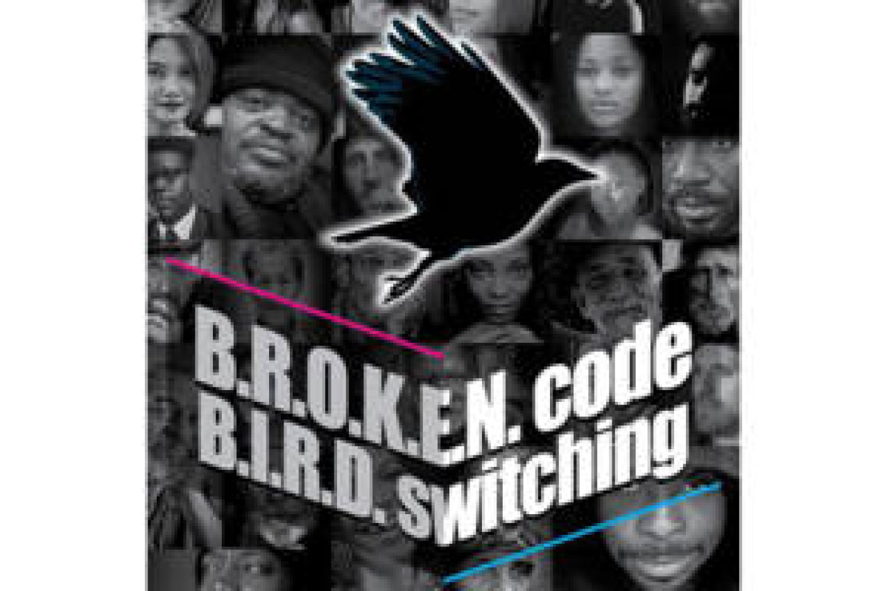 broken code bird switching logo 91496