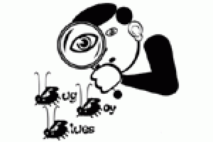 Bug Boy Blues