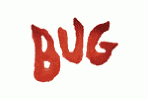 Bug