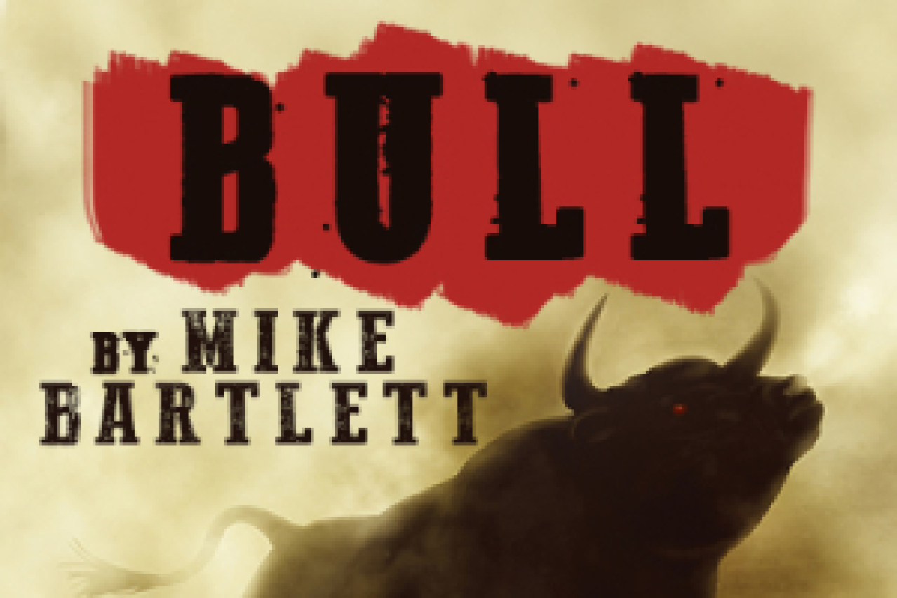 bull logo 58660