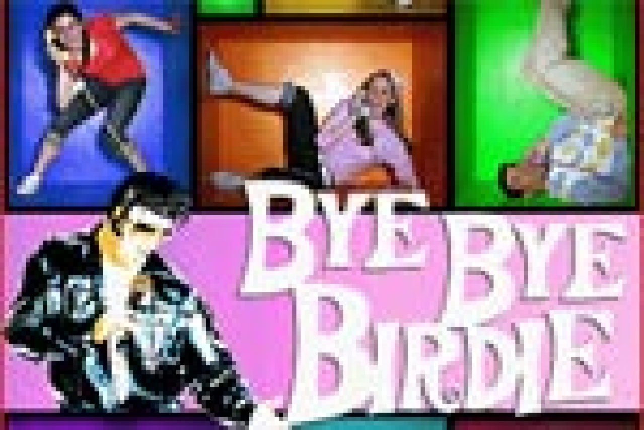 bye bye birdie logo 22874