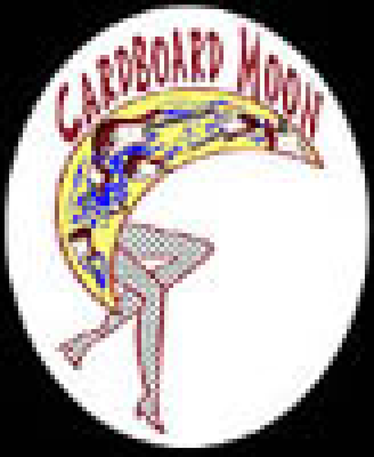 cardboard moon logo 1046