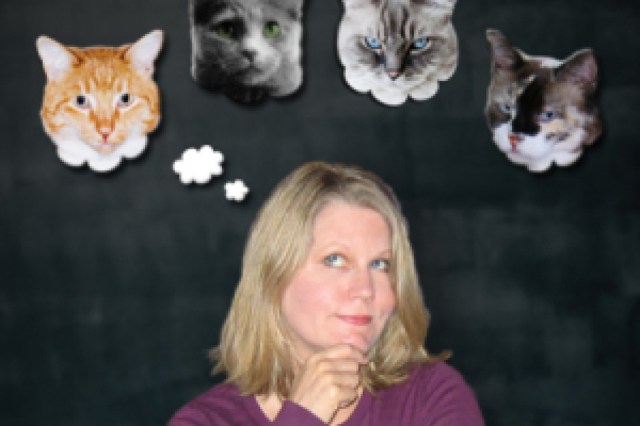 cat lady without a cat logo 33402