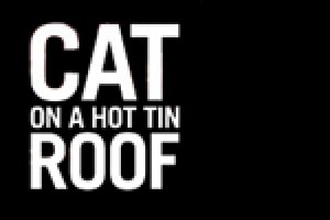 Cat on a Hot Tin Roof