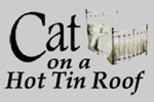 Cat on a Hot Tin Roof