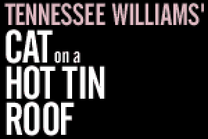 Cat on a Hot Tin Roof