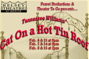 Cat On A Hot Tin Roof