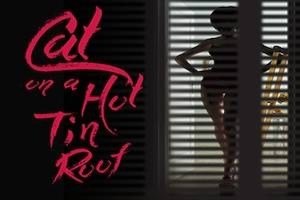 Cat On A Hot Tin Roof