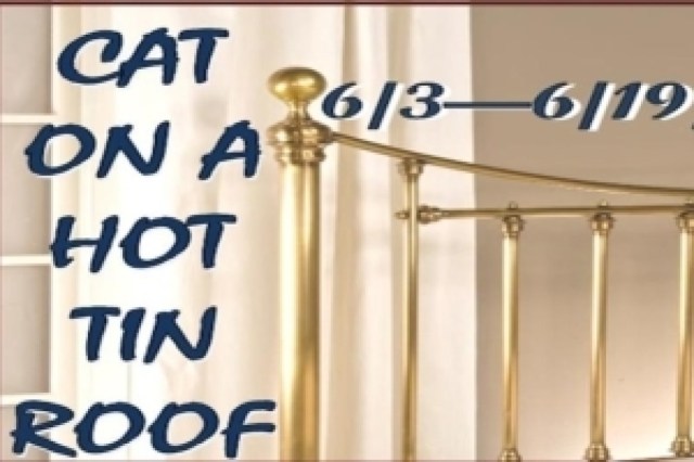 cat on a hot tin roof logo 54911 1