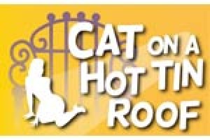 Cat On a Hot Tin Roof