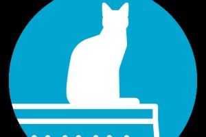 Cat on a Hot Tin Roof