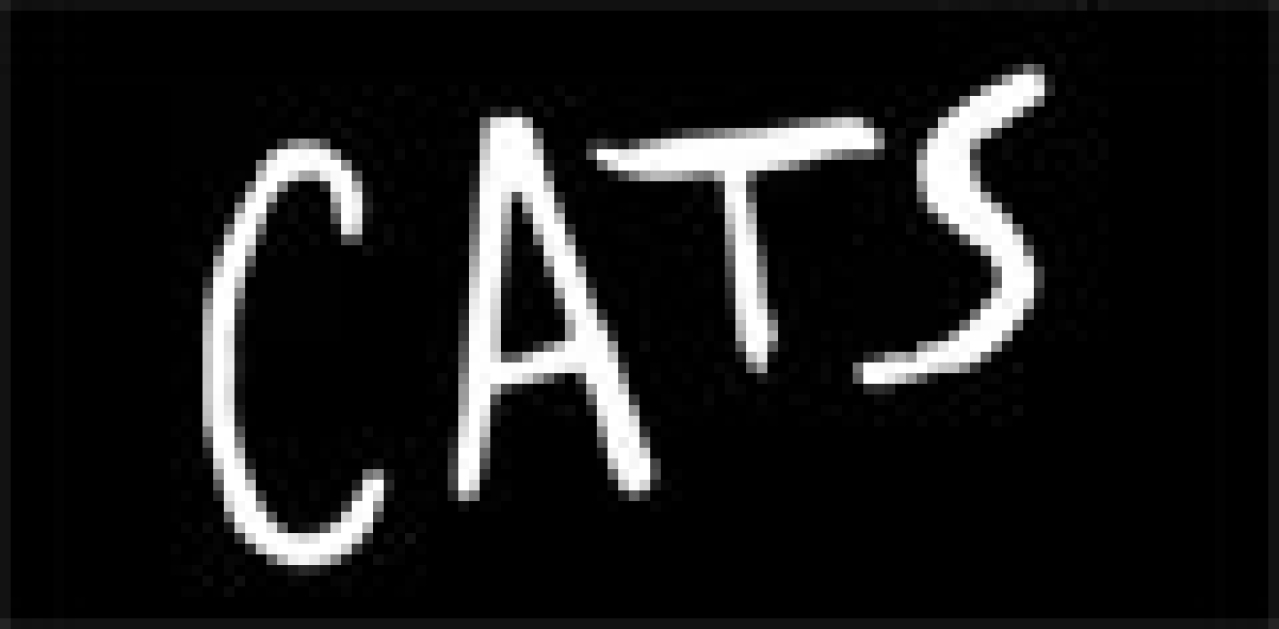 cats logo 8388