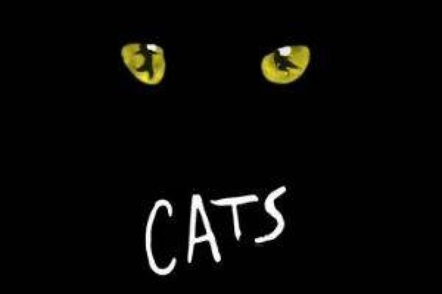 cats logo 95384 3