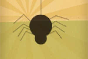Charlotte’s Web