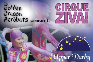 Cirque Ziva!