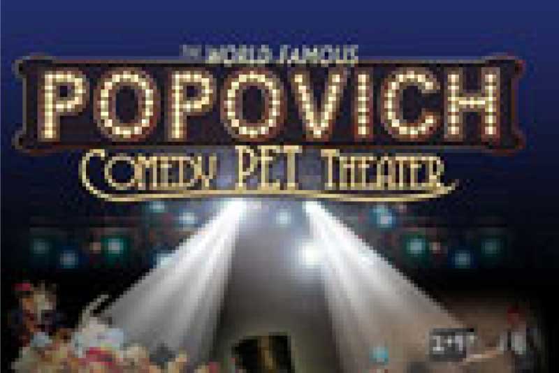 comedy pet theater logo 8074 gn