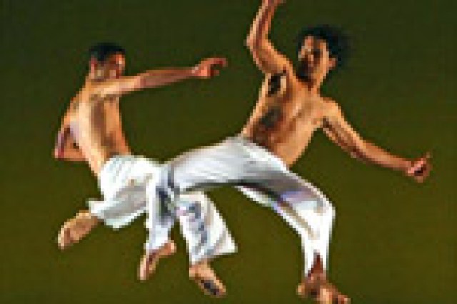 dancebrazil logo 12687