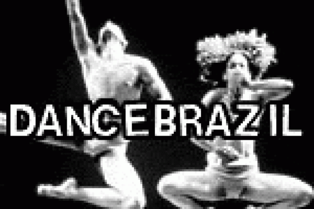 dancebrazil logo 29594