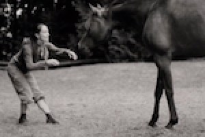 Dancing with Animals (dance films screening)