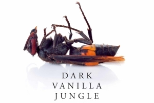 dark vanilla jungle logo 64097