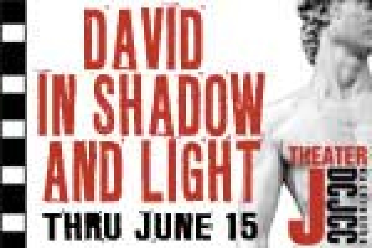 david in shadow and light logo 23478