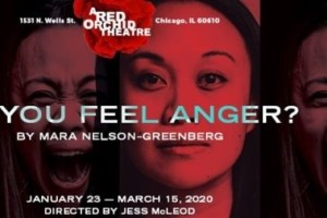 Do You Feel Anger?