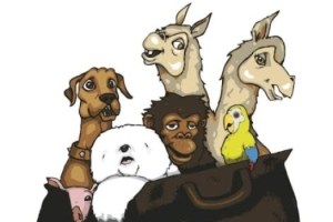 Doctor Dolittle, Jr.