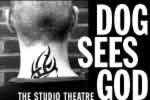 Dog Sees God: Confessions of a Teenage Blockhead