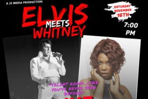 Elvis Meets Whitney